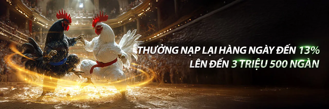 Sân đấu đá gà trực tuyến sôi động trên bi88 iOS
